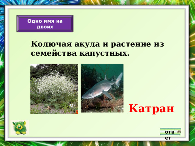 Одно имя на двоих Колючая акула и растение из семейства капустных. Катран ответ 
