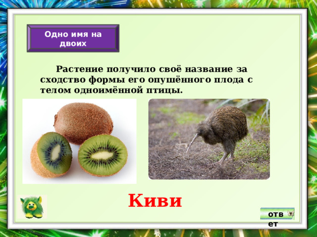 Одно имя на двоих  Растение получило своё название  за сходство формы его опушённого плода  с телом одноимённой птицы. Киви ответ 