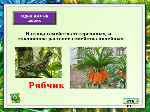 Одно имя на двоих  И птица семейства тетеревиных, и луковичное растение семейства лилейных. Рябчик ответ 