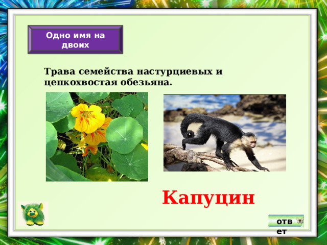 Одно имя на двоих Трава семейства настурциевых и цепкохвостая обезьяна. Капуцин ответ 