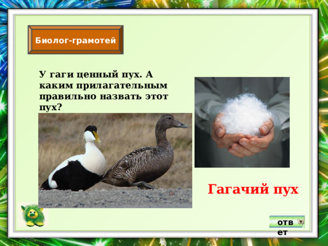 Биолог-грамотей У гаги ценный пух. А каким прилагательным правильно назвать этот пух? Гагачий пух ответ 