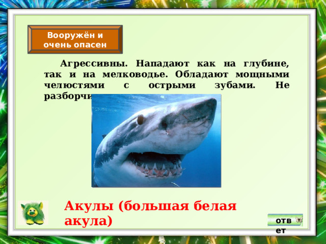 Вооружён и очень опасен  Агрессивны. Нападают как на глубине, так и на мелководье. Обладают мощными челюстями с острыми зубами. Не разборчивы в еде. Акулы (большая белая акула) ответ 