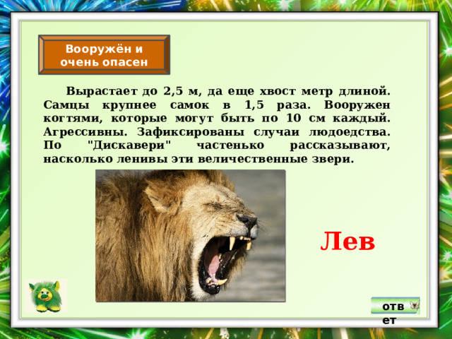 Вооружён и очень опасен  Вырастает до 2,5 м, да еще хвост метр длиной. Самцы крупнее самок в 1,5 раза. Вооружен когтями, которые могут быть по 10 см каждый. Агрессивны. Зафиксированы случаи людоедства. По 