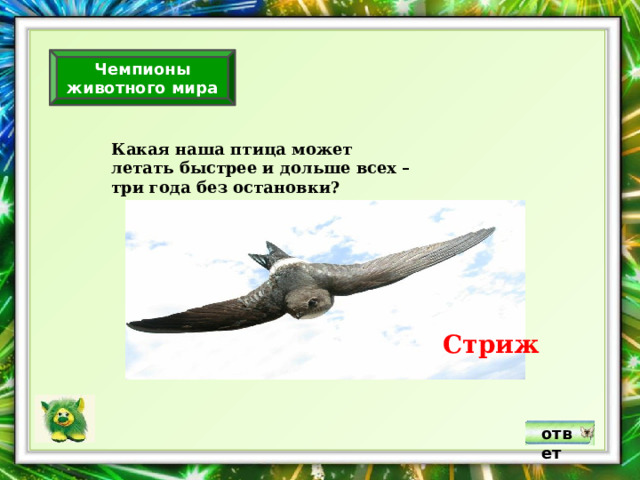 Чемпионы животного мира Какая наша птица может летать быстрее и дольше всех – три года без остановки? Стриж ответ 