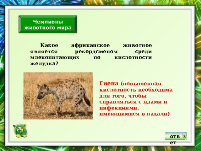 Чемпионы животного мира  Какое африканское животное является рекордсменом среди млекопитающих по кислотности желудка? Гиена (повышенная кислотность необходима для того, чтобы справляться с ядами и инфекциями, имеющимися в падали) ответ 