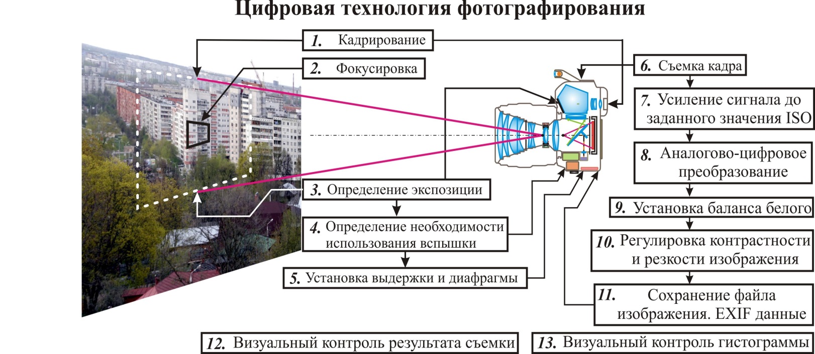 Определи способы получения графического цифрового изображения выбрав верные ответы получение по ip