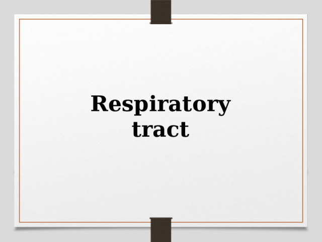 Respiratory tract Оригинальные шаблоны для презентаций: https://presentation-creation.ru/powerpoint-templates.html  Бесплатно и без регистрации.  