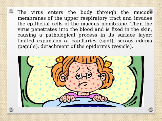 The virus enters the body through the mucous membranes of the upper respiratory tract and invades the epithelial cells of the mucous membrane. Then the virus penetrates into the blood and is fixed in the skin, causing a pathological process in its surface layer: limited expansion of capillaries (spot), serous edema (papule), detachment of the epidermis (vesicle). 
