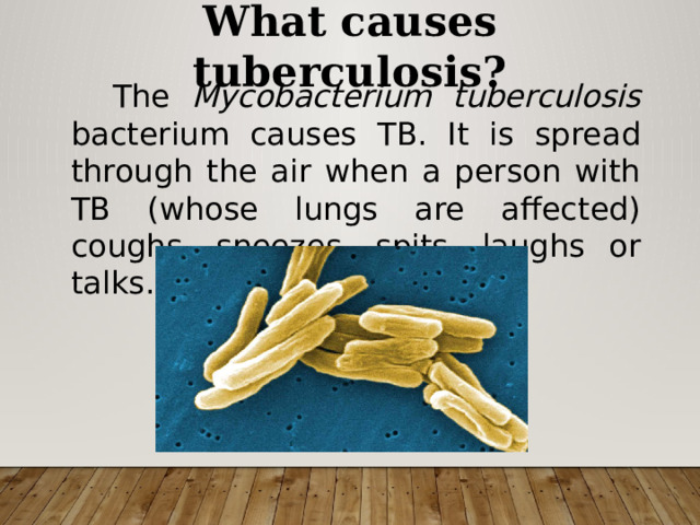 What causes tuberculosis?  The Mycobacterium tuberculosis bacterium causes TB. It is spread through the air when a person with TB (whose lungs are affected) coughs, sneezes, spits, laughs or talks. 