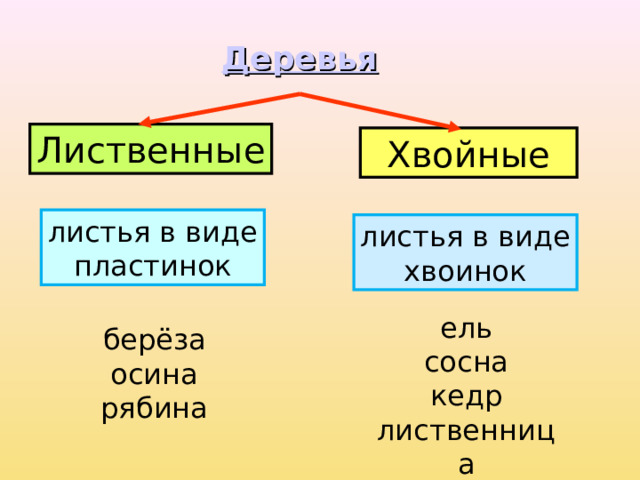 В виде пластинок какие растения