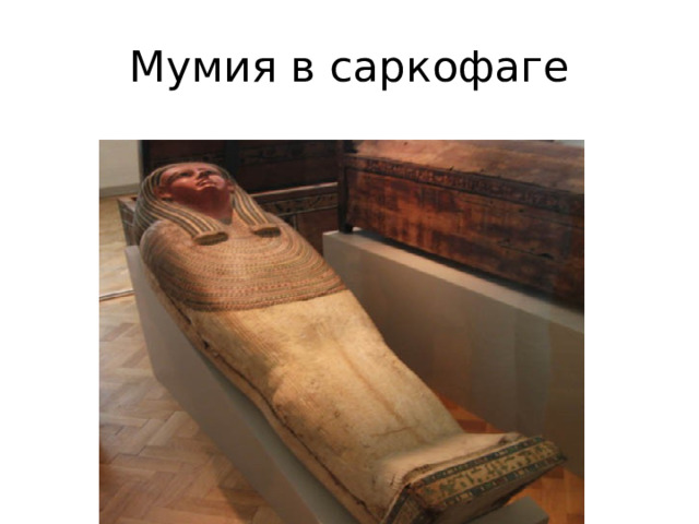 Мумия в саркофаге 