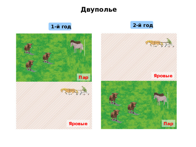 Двуполье 2-й год 1-й год Яровые Пар Пар Яровые 