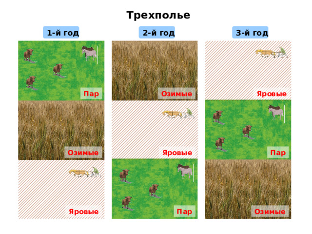 Трехполье 2-й год 3-й год 1-й год Яровые Пар Озимые Пар Яровые Озимые Яровые Пар Озимые 