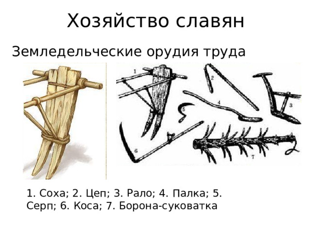 Хозяйство славян Земледельческие орудия труда 1. Соха; 2. Цеп; 3. Рало; 4. Палка; 5. Серп; 6. Коса; 7. Борона-суковатка 