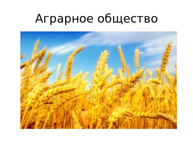 Аграрное общество 