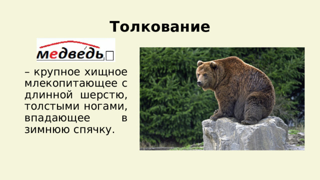 Анализ слова медведь
