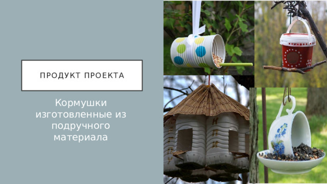Продукт проекта Кормушки изготовленные из подручного материала 