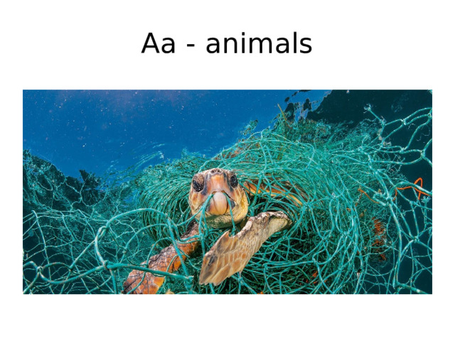 Аа - animals 