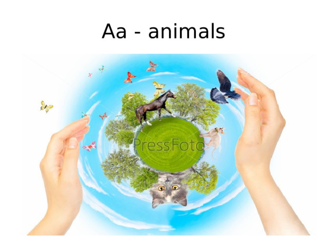 Аа - animals 