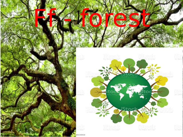 Ff - forest 