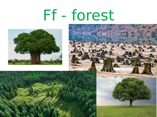 Ff - forest 