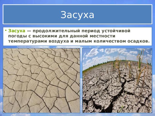 В виду длительной засухи мы часто. Продолжительный период устойчивой погоды. Отношение к засухе засухоустойчивых растений. Районы пыльных бурь и частых засух в России.