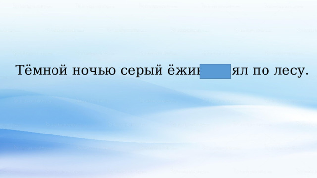 Тёмной ночью серый ёжик гулял по лесу. 