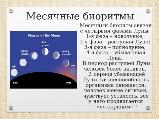 Месячные биоритмы Месячный биоритм связан с четырьмя фазами Луны:  1-я фаза – новолуние;  2-я фаза – растущая Луна;  3-я фаза – полнолуние;  4-я фаза – убывающая Луна.   В период растущей Луны человек более активен.   В период убывающей Луны жизнеспособность организма снижается, человек менее активен, чув­ствует усталость, все у него продвигается «со скрипом».  
