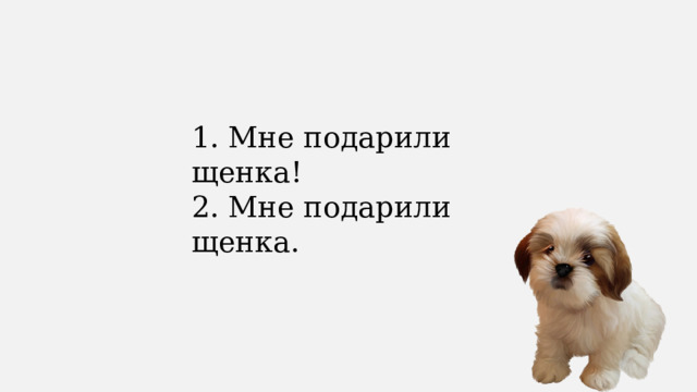 1. Мне подарили щенка! 2. Мне подарили щенка. 