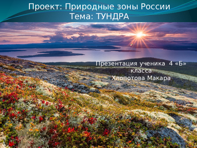 Экосистему тундры. Экосистема тундры. Тундра презентация. Природная зона тундра проект. Природные зоны экосистемы тундра.