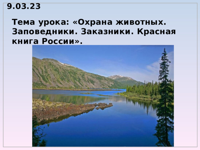 9.03.23 Тема урока: «Охрана животных.  Заповедники. Заказники. Красная книга России».  