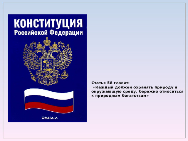 Статья 58 гласит:  «Каждый должен охранять природу и окружающую среду, бережно относиться к природным богатствам»   