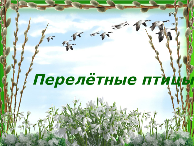 Перелётные птицы . 