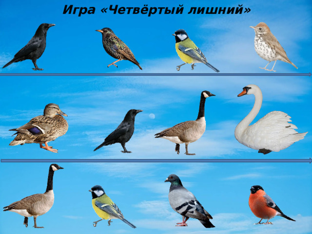 Игра «Четвёртый лишний» 