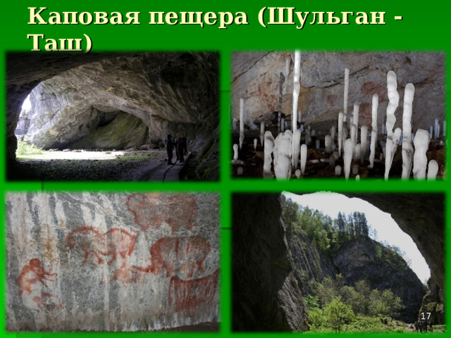 Каповая пещера (Шульган - Таш)  
