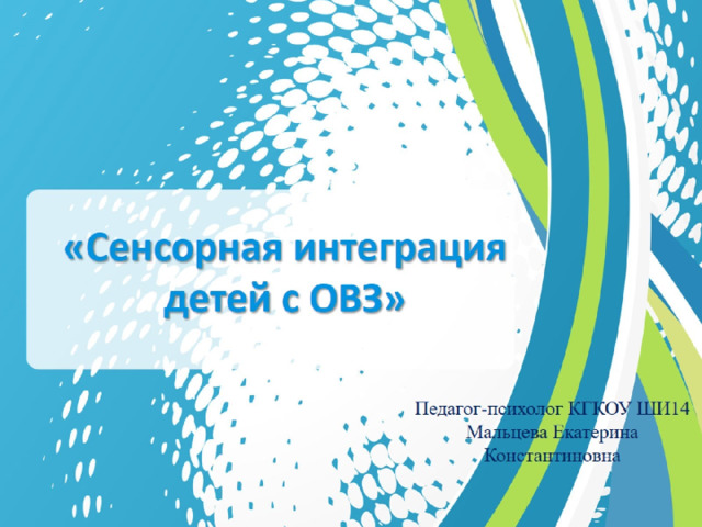 «Сенсорная интеграция детей с ОВЗ» 