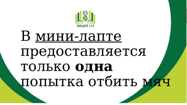 В мини-лапте предоставляется только одна попытка отбить мяч 