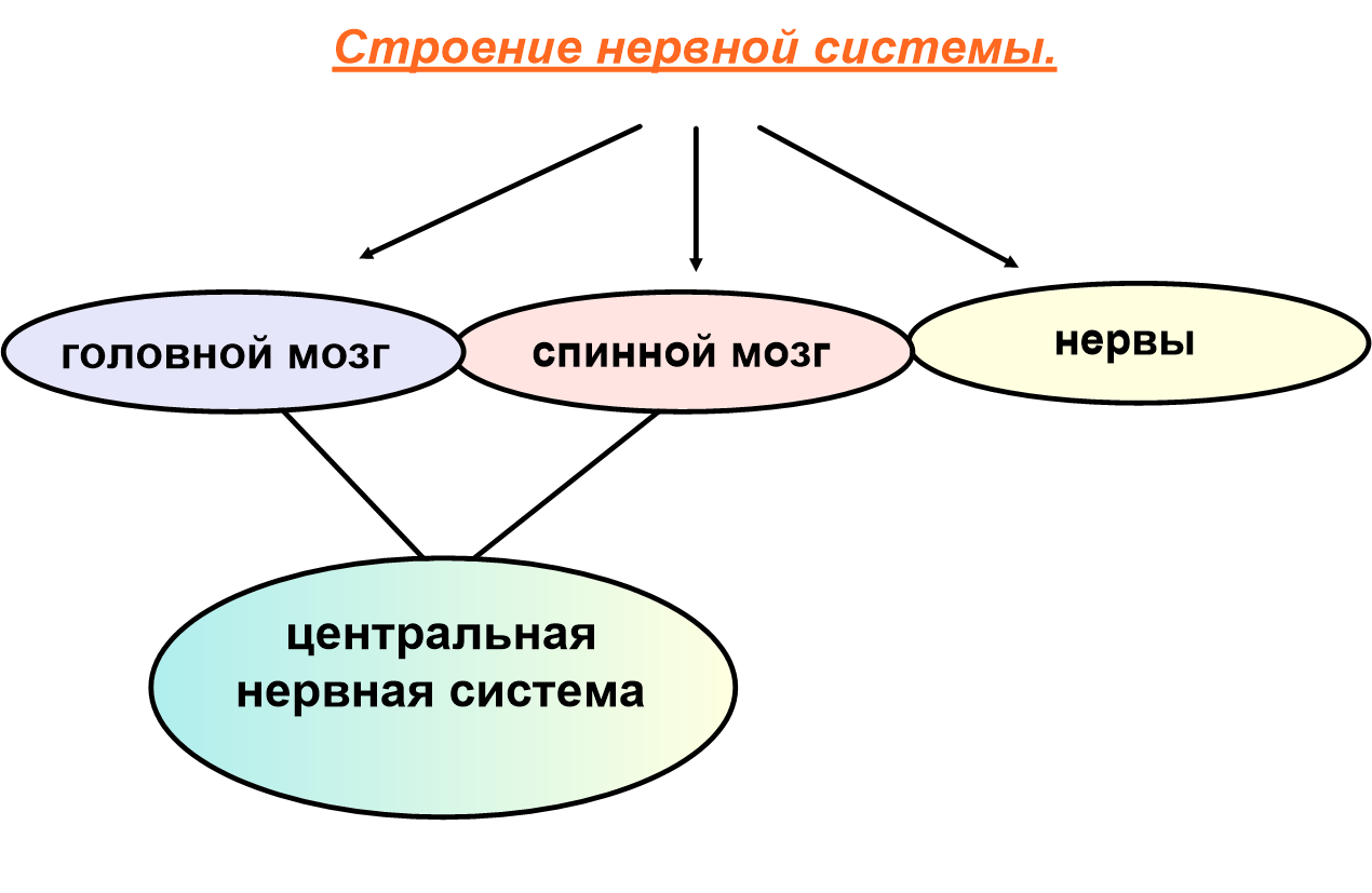 Информационные технологии в системе образования»