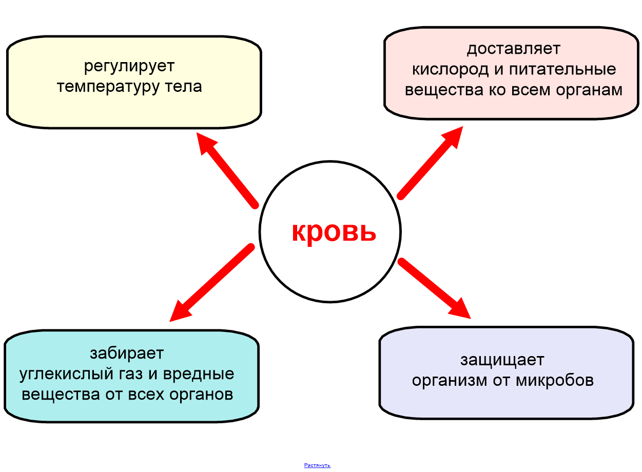 Информационные технологии в системе образования»