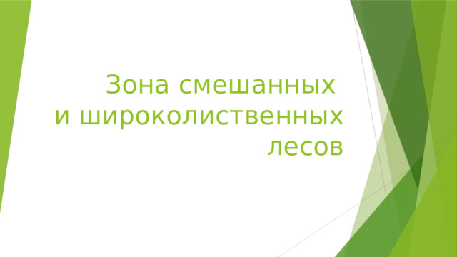 Зона смешанных  и широколиственных лесов 