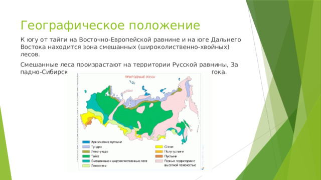 Географическое положение К  югу от тайги на Восточно-Европейской равнине и на юге Дальнего Восто­ка находится зона смешанных (широколиственно-хвойных) лесов. Сме­шан­ные леса про­из­рас­та­ют на тер­ри­то­рии Рус­ской рав­ни­ны, За­пад­но-Си­бир­ской рав­ни­ны и ча­стич­но на юге Даль­не­го Во­сто­ка. 