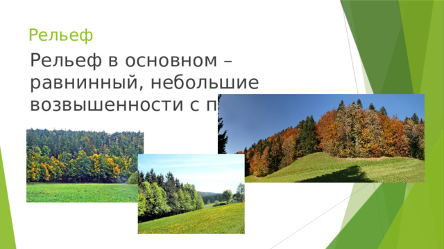 Рельеф Рельеф в основном – равнинный, небольшие возвышенности с пологими склонами. 