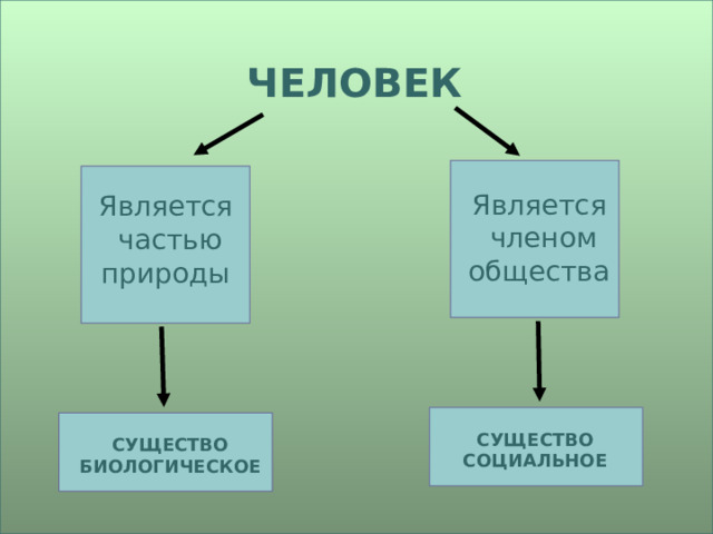 Частью чего является проект Презентация по окружающему миру