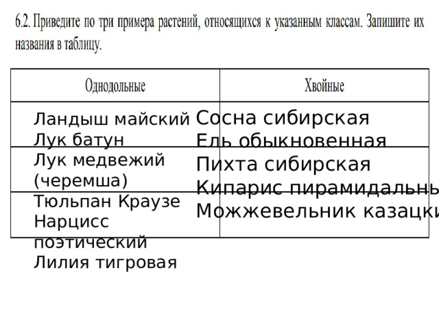 Сосна сибирская Ель обыкновенная Пихта сибирская Кипарис пирамидальный Можжевельник казацкий Ландыш майский Лук батун Лук медвежий (черемша) Тюльпан Краузе Нарцисс поэтический Лилия тигровая 