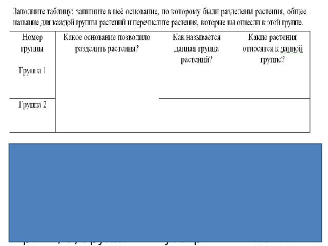 Правильный ответ должен содержать следующие элементы: 1) основание – жизненная форма; 2) группа 1 – травы: дурман обыкновенный, цикорий обыкновенный, рожь; 3) группа 2 – кустарники: малина садовая, крыжовник, роза 