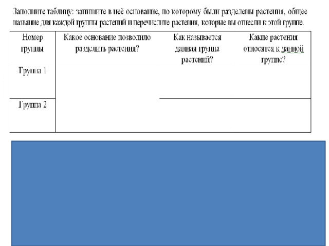 Правильный ответ должен содержать следующие элементы: 1) основание – систематическое положение; 2) группа 1 – организмы, относящиеся к бактериям: стрептококки, спириллы, холерный вибрион; 3) группа 2 – организмы, относящиеся к грибам: дрожжи, мухомор красный, головнёвый гриб 