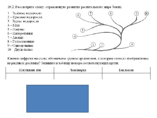 Рассмотрите схему отражающую развитие животного мира земли зеленые водоросли