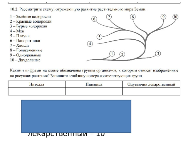 Рассмотрите схему отражающую развитие растительного мира земли зеленые водоросли