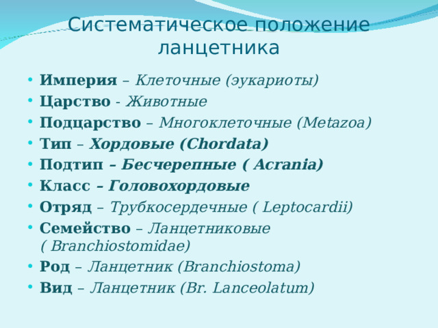 Систематическое положение ланцетника Империя – Клеточные (эукариоты) Царство - Животные Подцарство – Многоклеточные ( Metazoa) Тип – Хордовые ( Chordata) Подтип – Бесчерепные ( Acrania) Класс – Головохордовые Отряд – Трубкосердечные ( Leptocardii) Семейство – Ланцетниковые ( Branchiostomidae) Род – Ланцетник ( Branchiostoma) Вид – Ланцетник ( Br. Lanceolatum)  