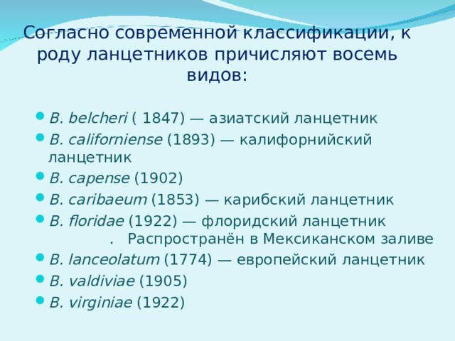 Согласно современной классификации, к роду ланцетников причисляют восемь видов:   B. belcheri  ( 1847) — азиатский ланцетник B. californiense   ( 1893 )  — калифорнийский ланцетник B. capense   ( 1902 ) B. caribaeum  (1853) — карибский ланцетник B. floridae   ( 1922 )  — флоридский ланцетник . Распространён в Мексиканском заливе B. lanceolatum  (1774) — европейский ланцетник B. valdiviae  (1905) B. virginiae   ( 1922 )  